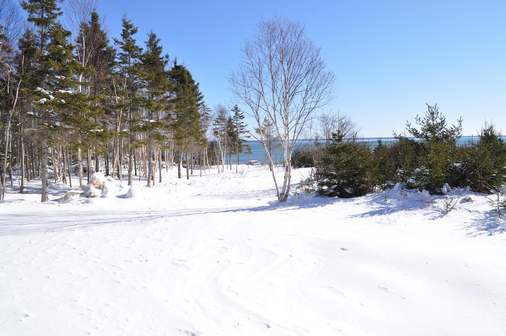The Sleeping Moose Cottage Birch Plain エクステリア 写真