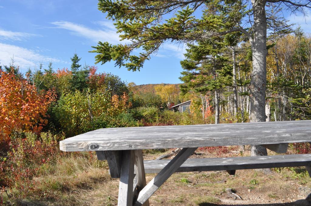 The Sleeping Moose Cottage Birch Plain エクステリア 写真