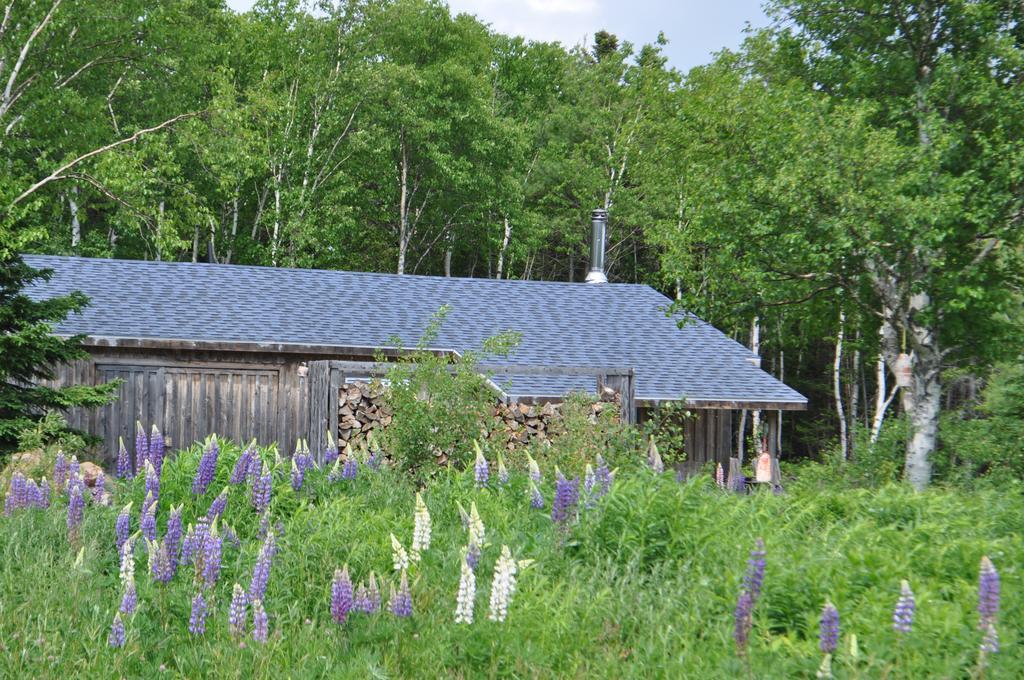The Sleeping Moose Cottage Birch Plain エクステリア 写真