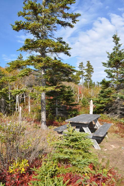 The Sleeping Moose Cottage Birch Plain エクステリア 写真