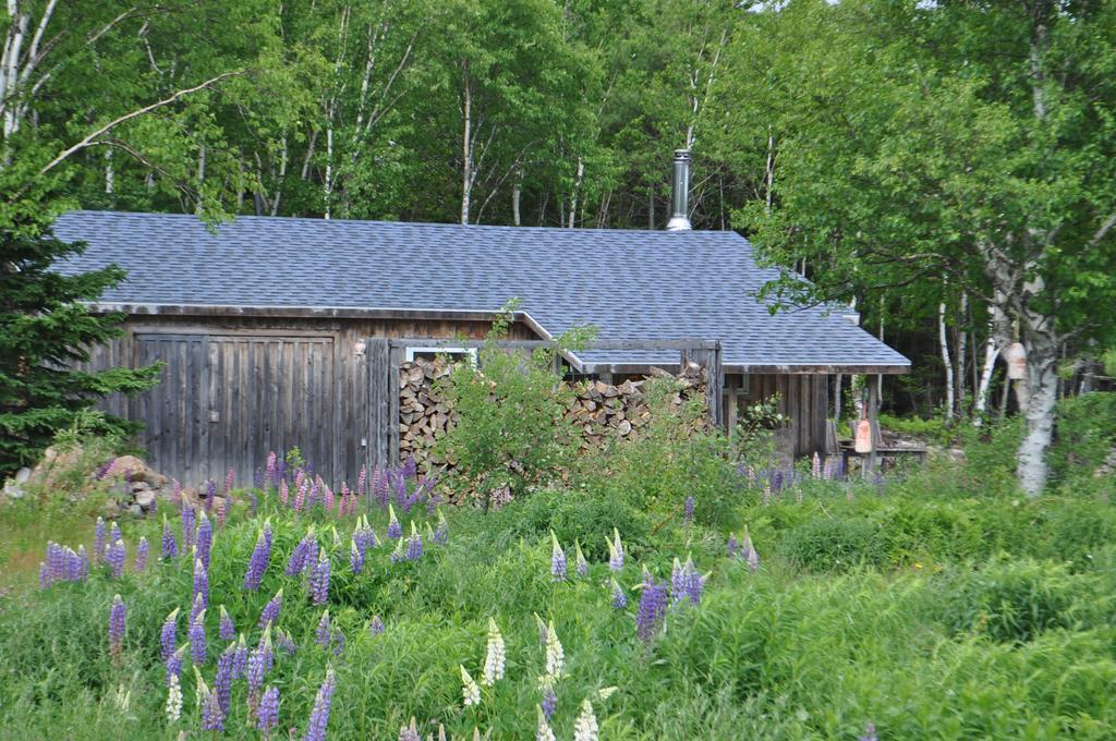 The Sleeping Moose Cottage Birch Plain エクステリア 写真