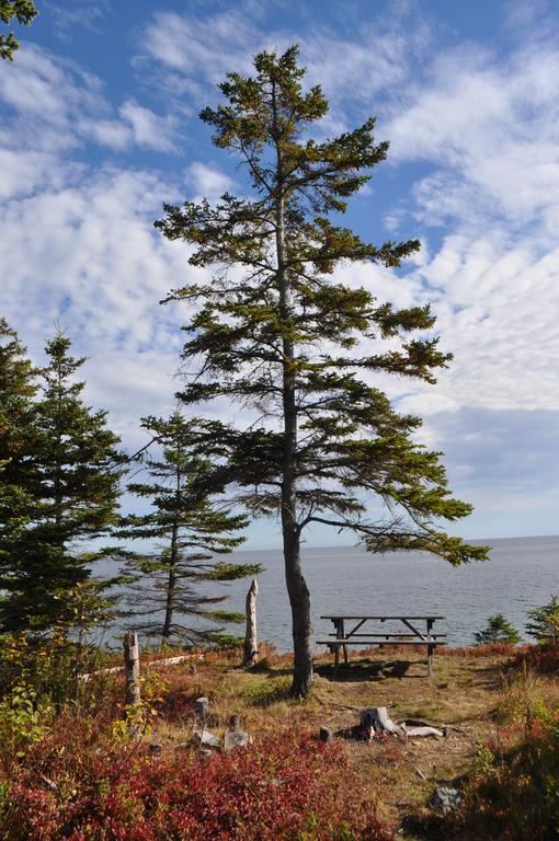 The Sleeping Moose Cottage Birch Plain エクステリア 写真
