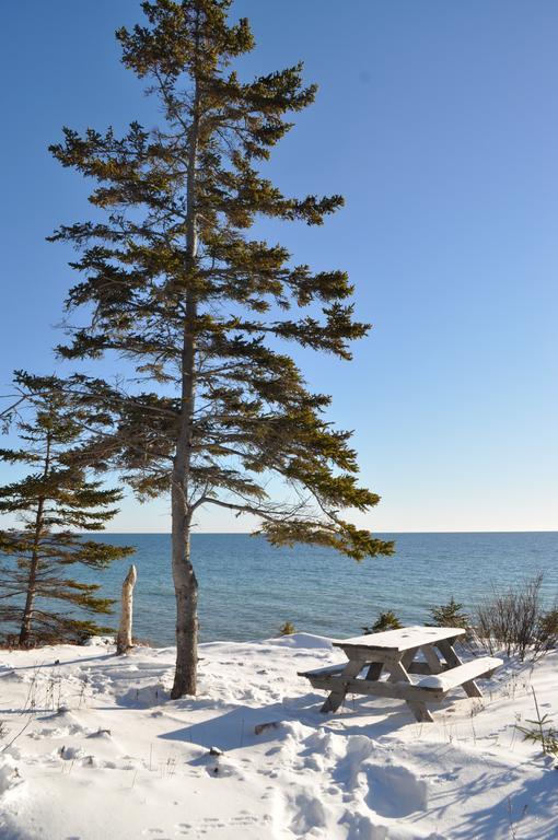 The Sleeping Moose Cottage Birch Plain エクステリア 写真