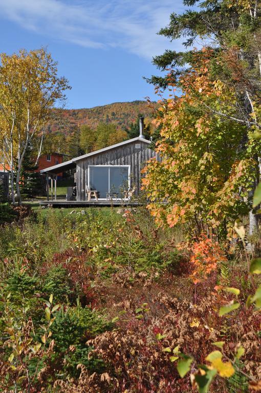 The Sleeping Moose Cottage Birch Plain エクステリア 写真