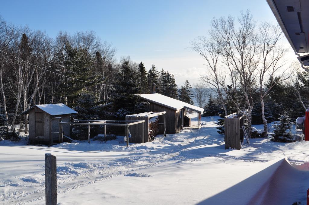 The Sleeping Moose Cottage Birch Plain エクステリア 写真